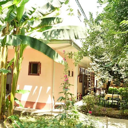 Sayfi Guesthouse Douchanbé Extérieur photo